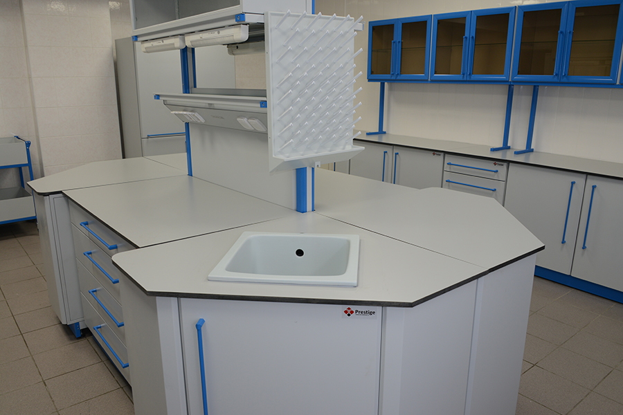 Лабораторный моечный стол С-5ДК купить по цене от производителя